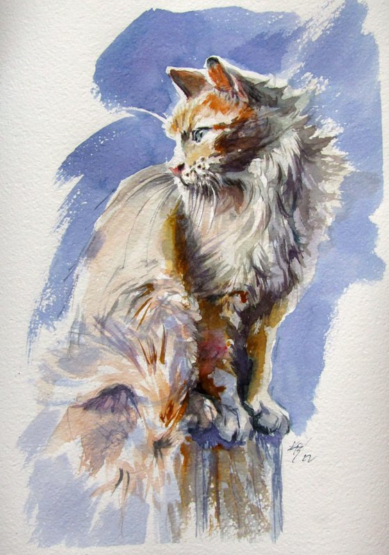 Sitting cat