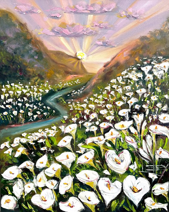 Cala Lily Valley