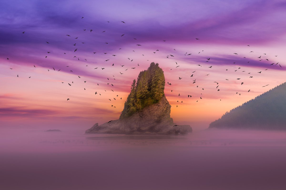 ISLAND OASIS...Limited Edition Photo Made along the Oregon coast by Harv Greenberg