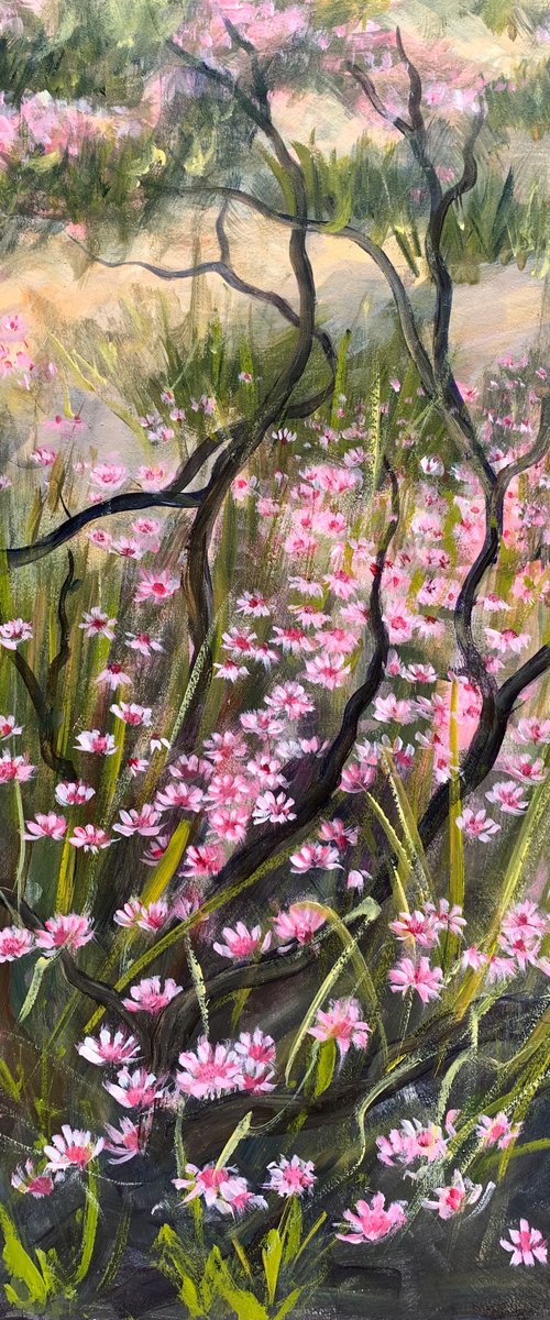 Pink bushfire ephemerals II by Shelly Du