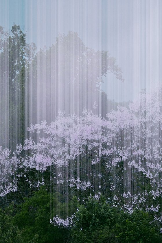 Night Air