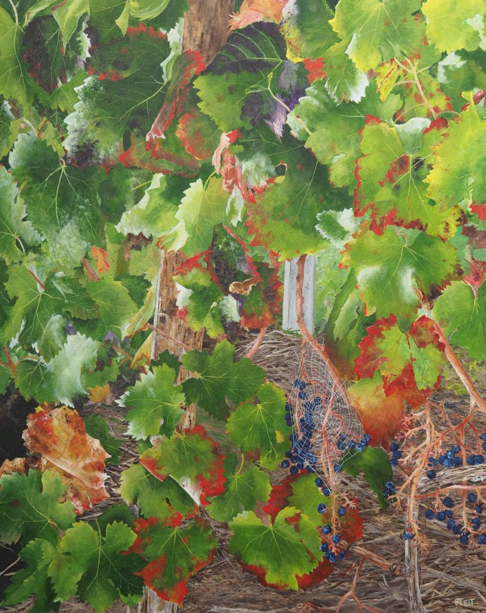 Bordeaux Vineyard 1 By Steven Fleit, 24 X 30, Artwork For Sale On Artfinder