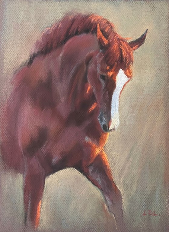 Backlight - Chestnut Horse