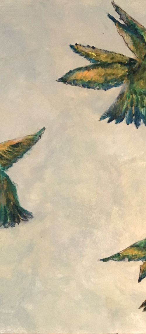 Study of Hummingbird I by Paola Consonni