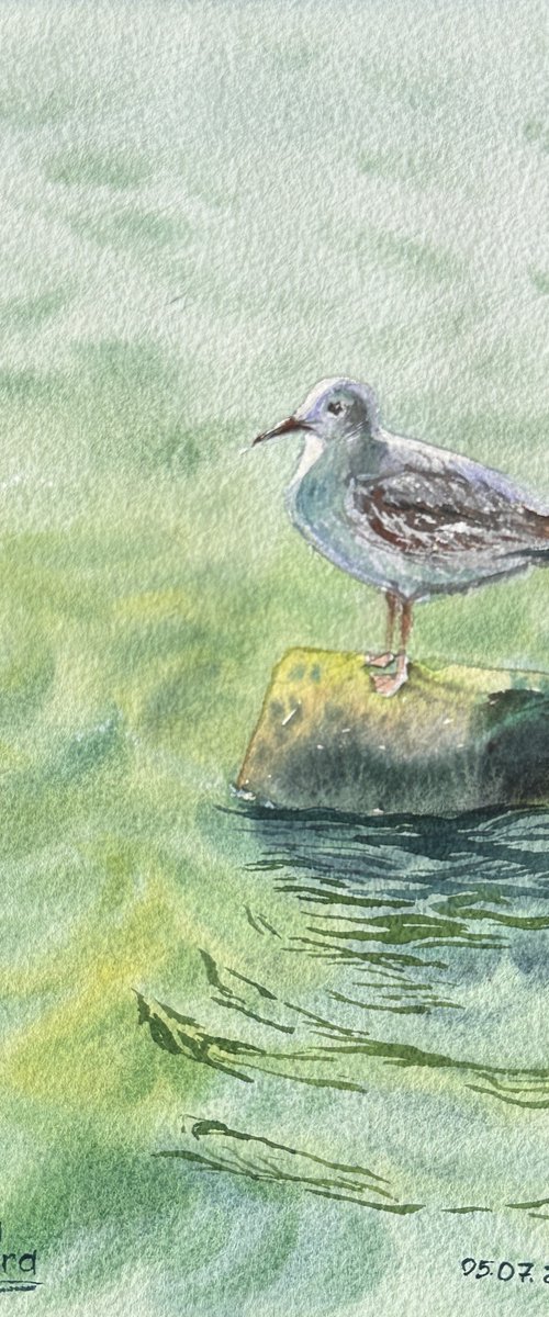 Sea bird by Oleksandra Padushyna