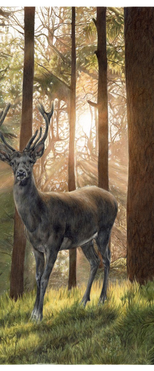 Guardian by Annika Schmitt