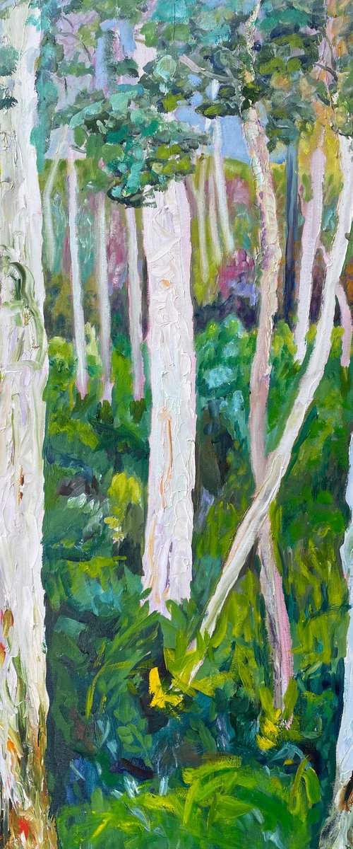 GHOST GUM FOREST 1 by Maureen Finck