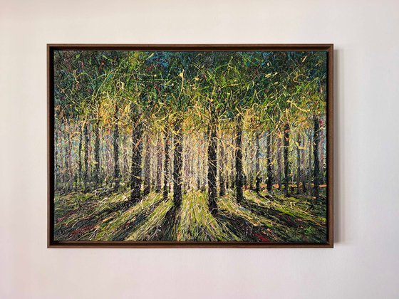 Spring Forest Light