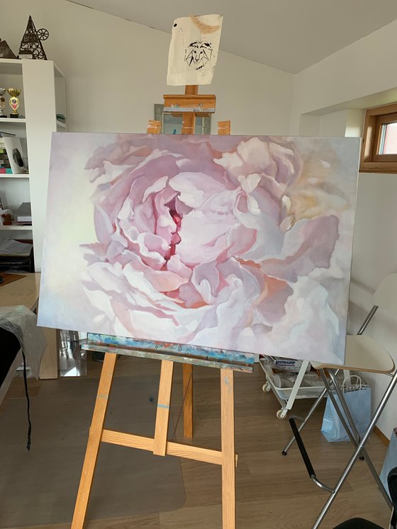 Pink peony 80x120