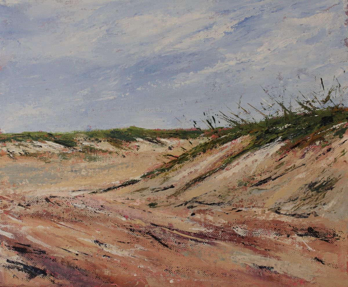 Dunes by John Halliday