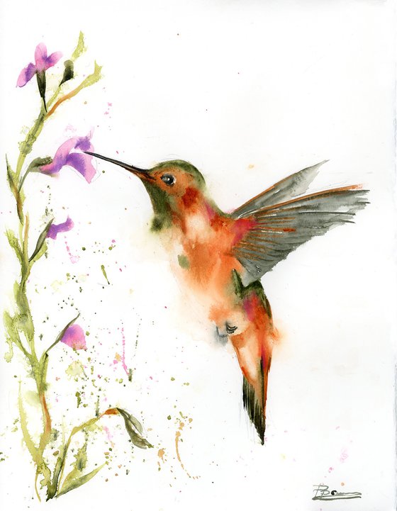 Hummingbird