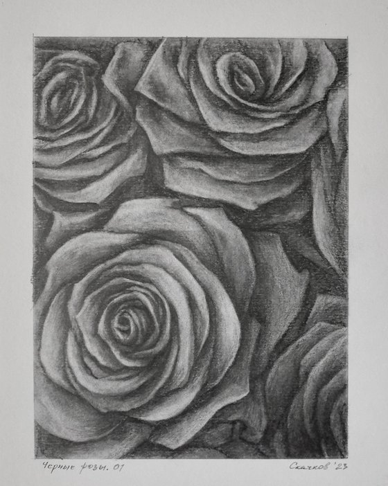 Black Roses. Graphite Flowers Series