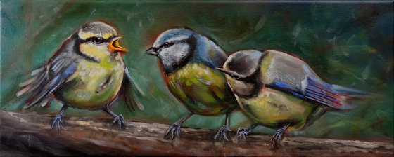 Feathered Family (2024)