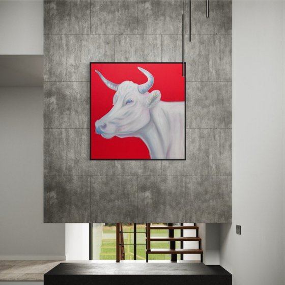 White cow