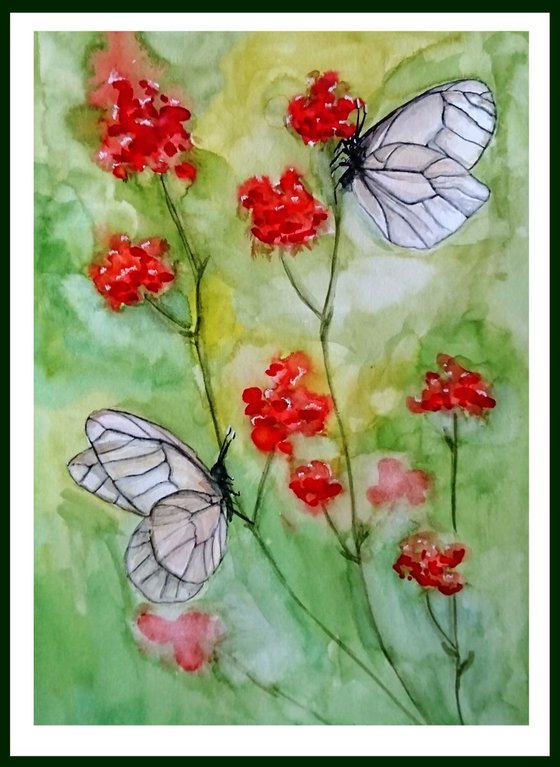 Butterflies