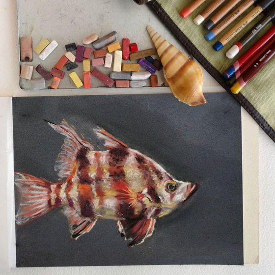 Fish (pastel)