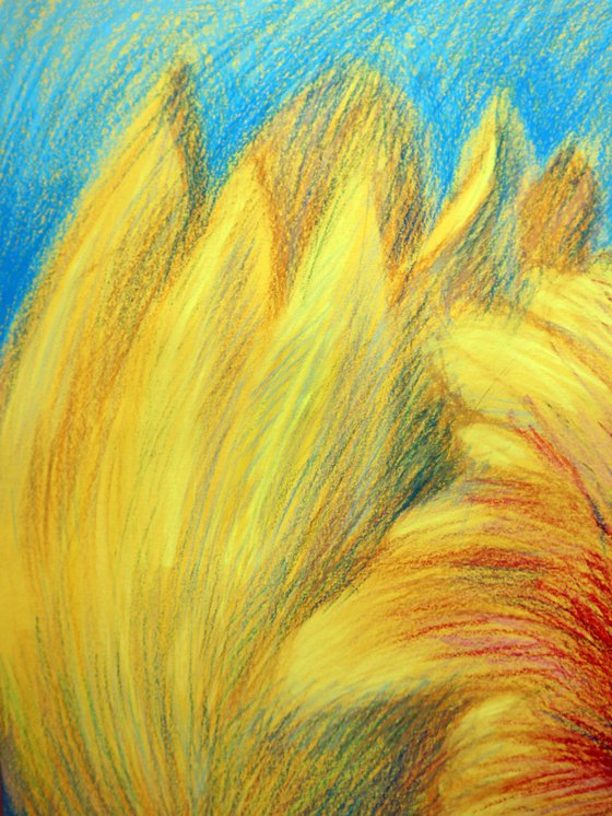 Tulips Yellow 4