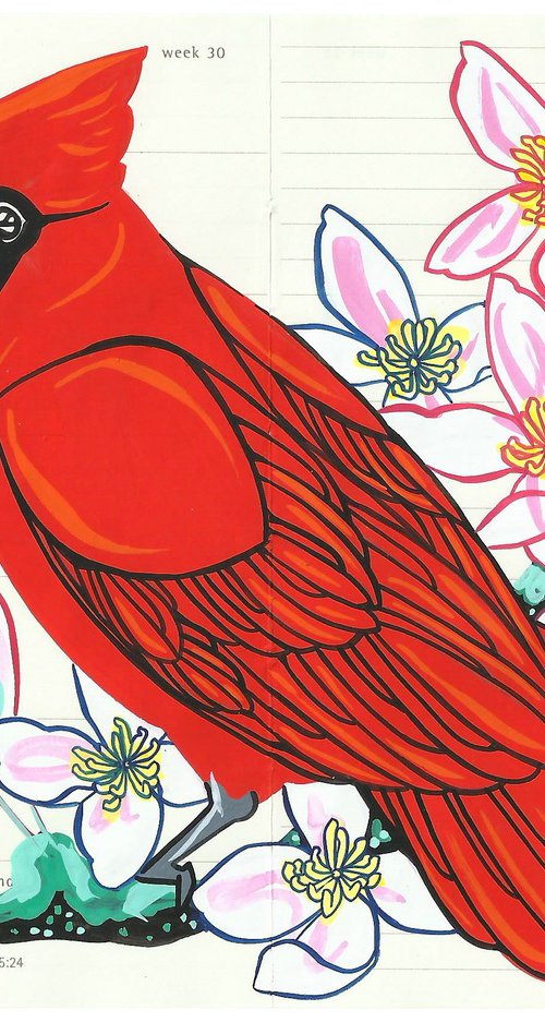 Birds of North America: Cardinal by Fran Giffard