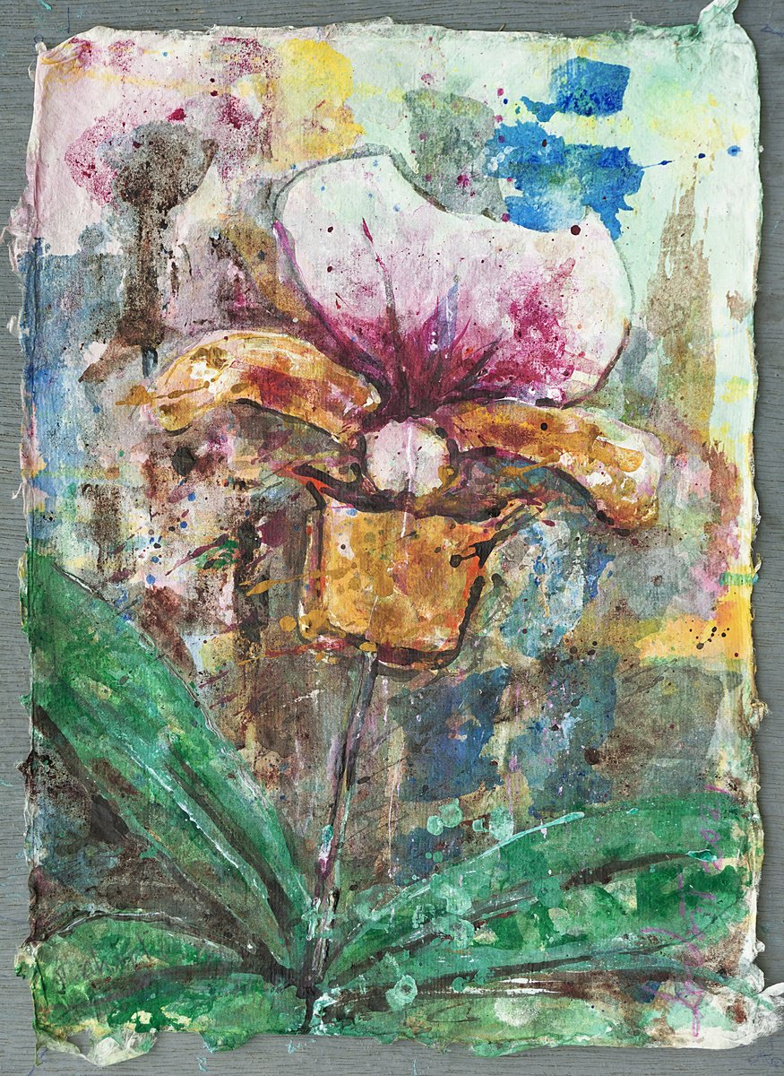 P. Charlesworthii By Gordon T., 10 X 13, Artwork For Sale On Artfinder