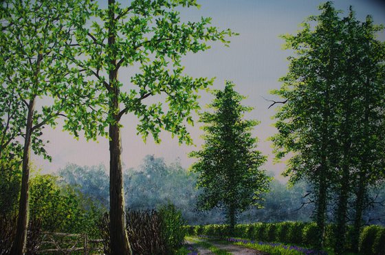 A Walk in Spring