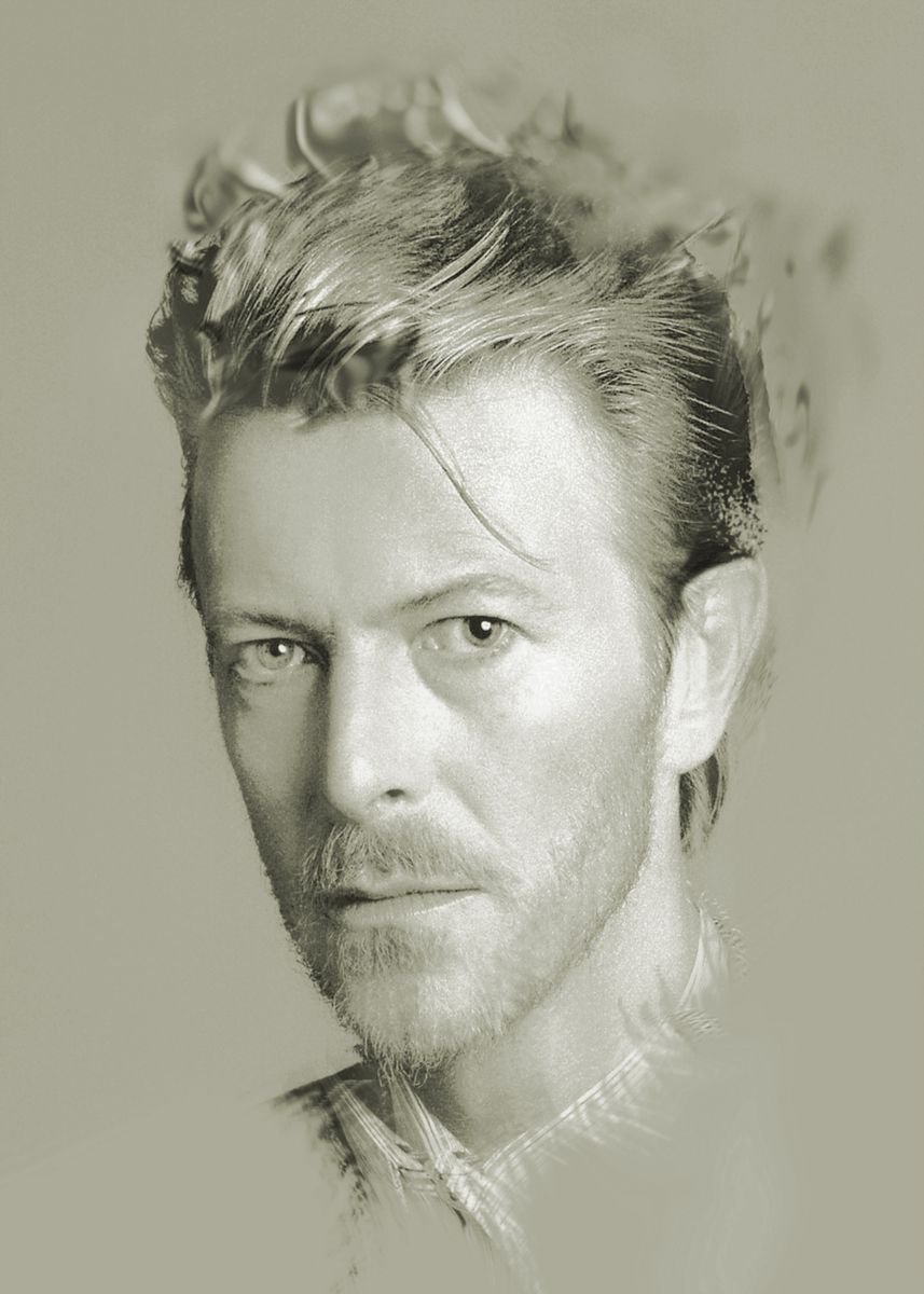 Illustrative Portrait Photograph By Srdjan Jevtic, 39 X 55", David Bowie, Extra Large 140 Cm X 100 Cm, Original Artwork