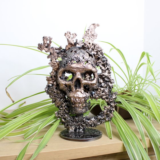 Skull mountain 51-22 - Skull in steel and bronze on a lace metal