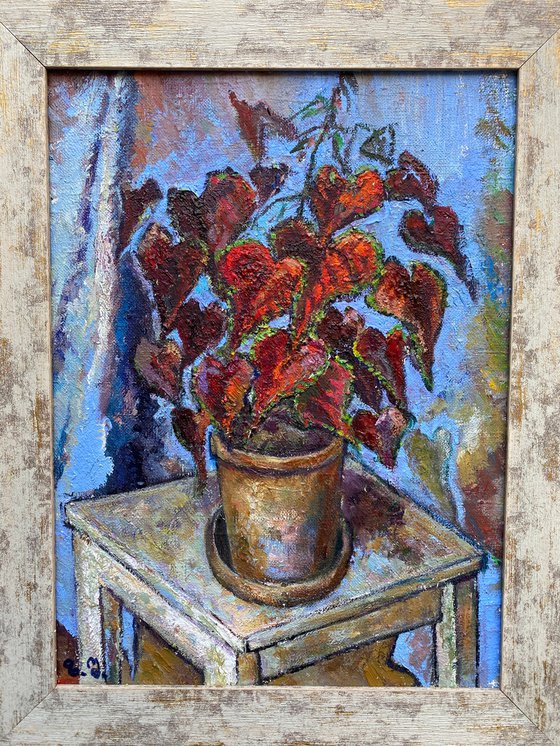 Romantic Still Life with Begonia in a Pot in Blue Frame