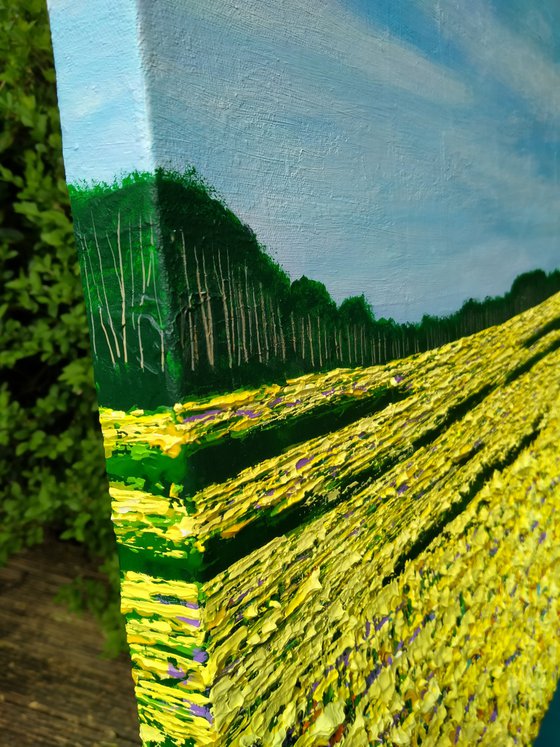Summer Golden Fields
