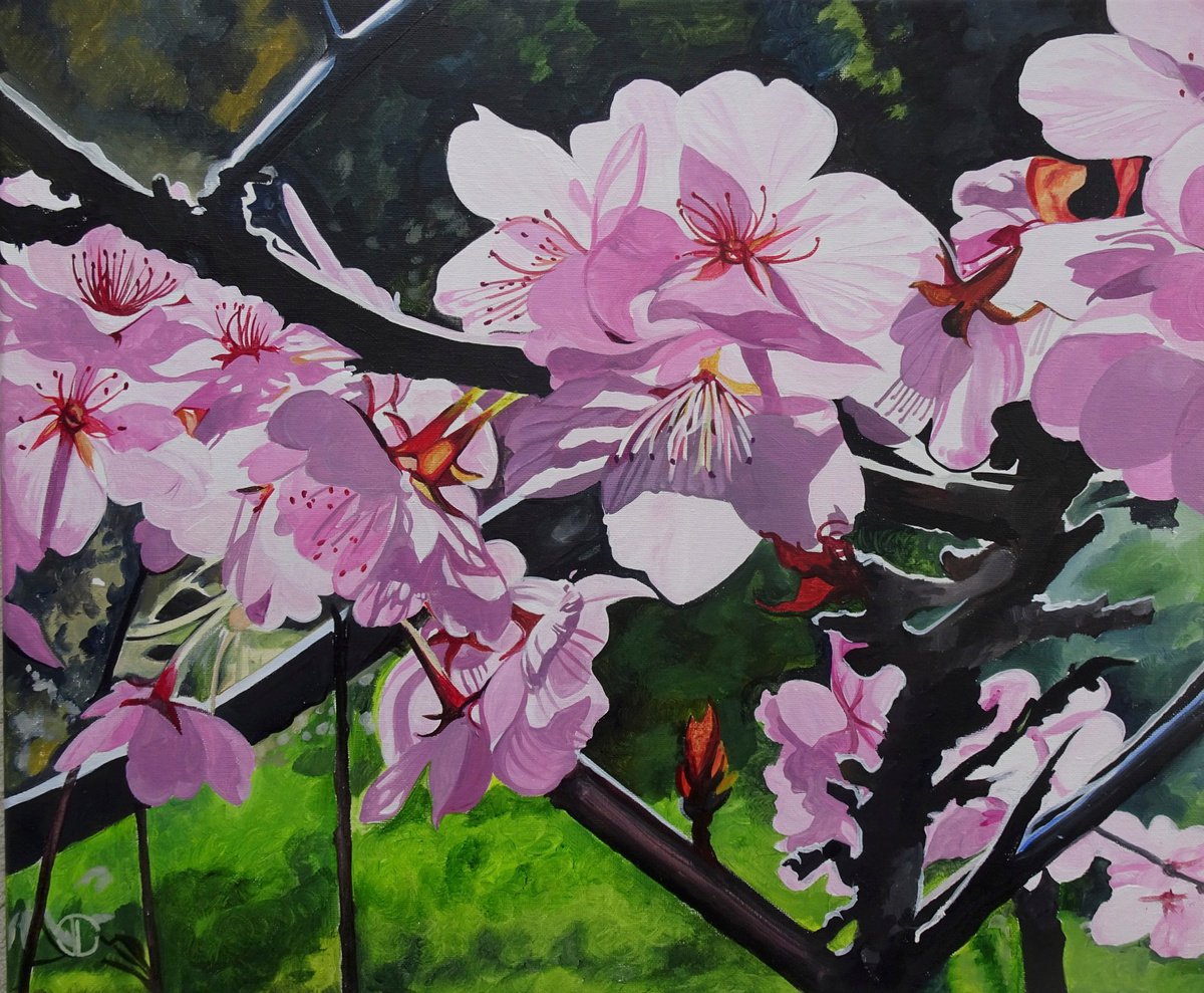 Impressionistic Botanical Acrylic Painting By Joseph Lynch, 24 X 20, Cherry Blossom In The Sunlight, Original Artwork