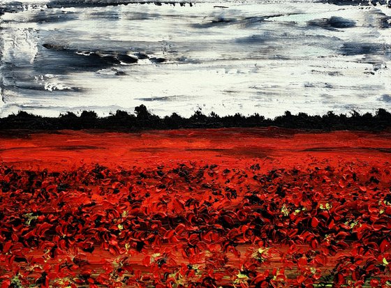 Poppies In The Storm 1