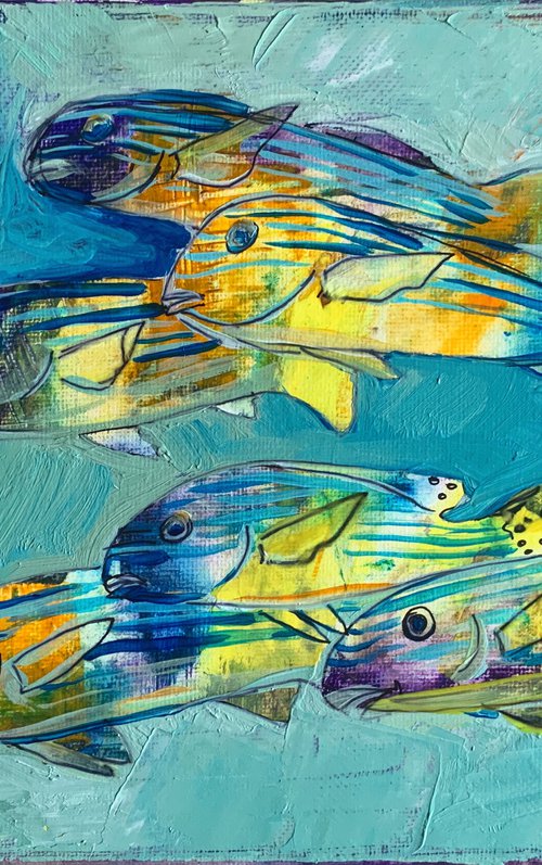 Fish by Olga Pascari
