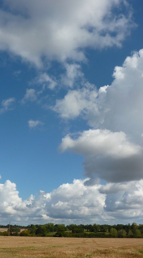 Big sky in Suffolk by Tim Saunders