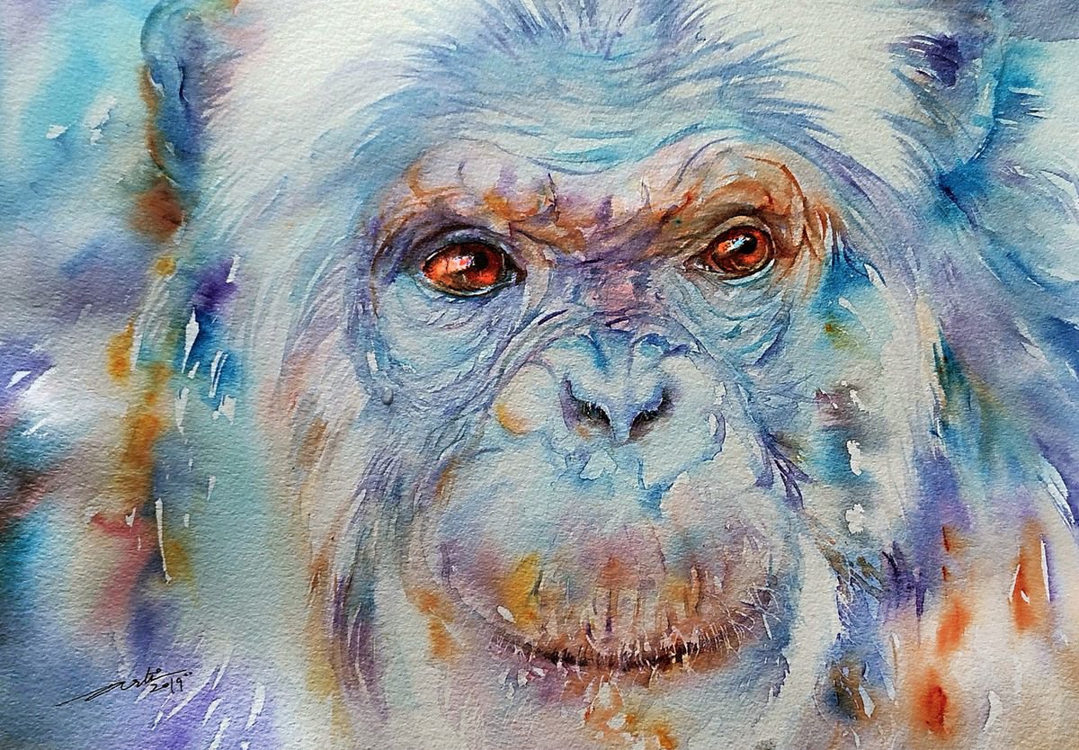 Impressionistic Watercolour , Blue Bonn_Chimpanzee By Arti Chauhan, 14 X 10, Artwork For Sale On Artfinder