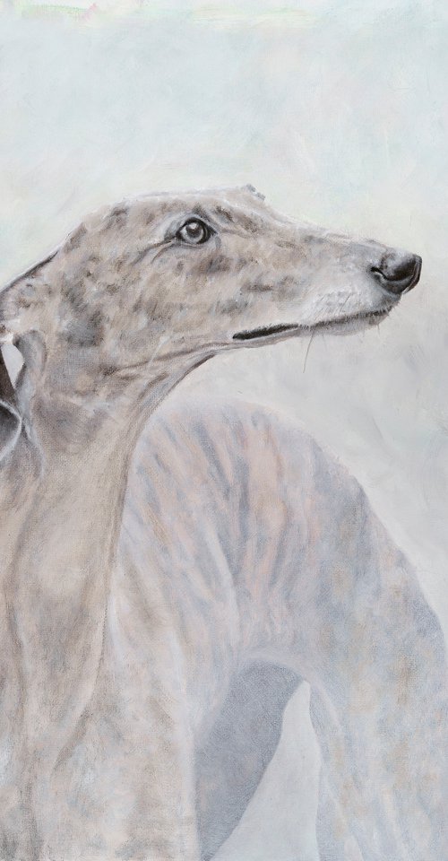 Greyhound in the mist by Tracey Walker