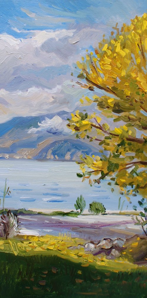 Afternoon light near the lake by Joan Mato