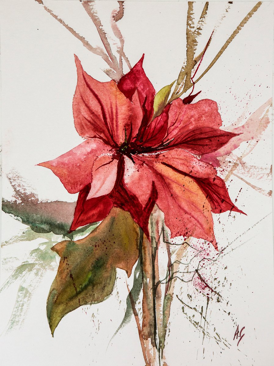 Impressionistic Botanical Watercolour By Aneta Gajos, 12 X 16, Poinsettia, Original Artwork