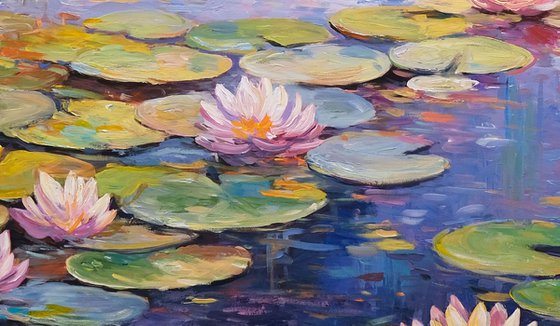 Water Lily Pond Dreaming