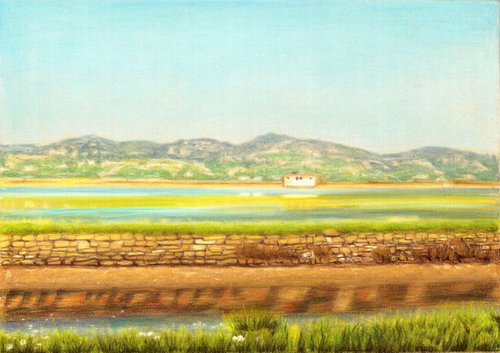Spring Colors in Salinas  BEAUTIFUL LANDSCAPE series III by Nives Palmić