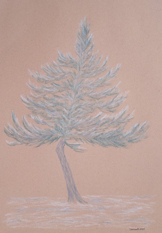 Pine tree