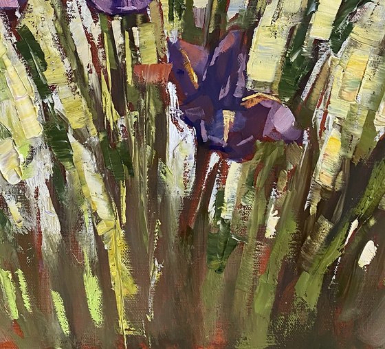 Sunny Irises