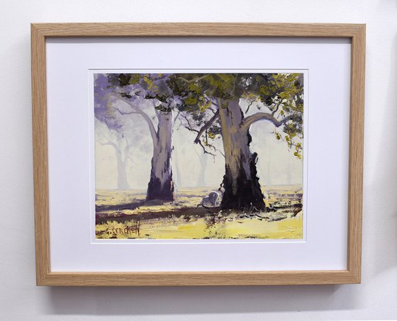 Australian Landscape with Gum trees