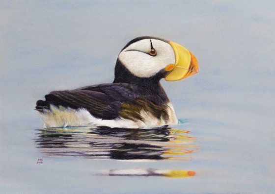 Original pastel drawing "Horned puffin"