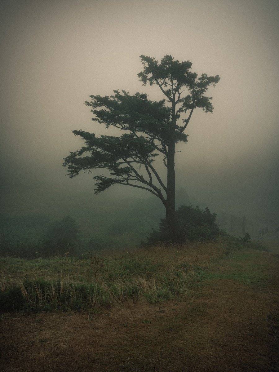 Surrealistic Landscape Photograph By Harv Greenberg, 40 X 30, Morning Glow, Original Artwork