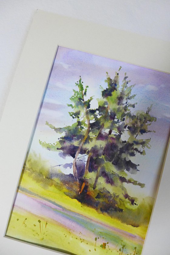 Lush pine trees in watercolor, Evergreen nature
