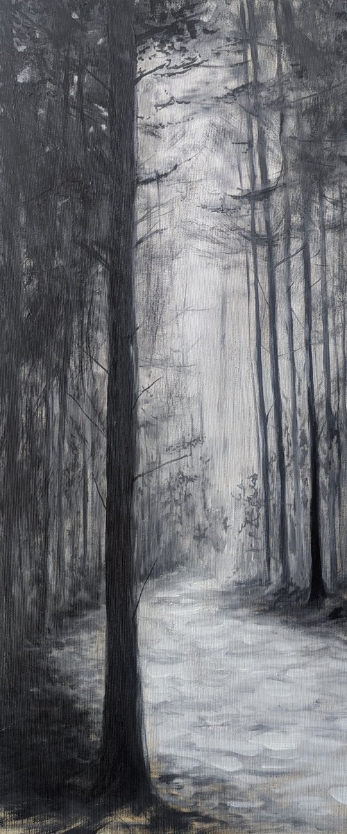 A Whisper in Time by Sophie Adair