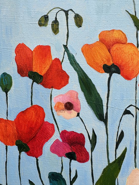Poppies on Blue