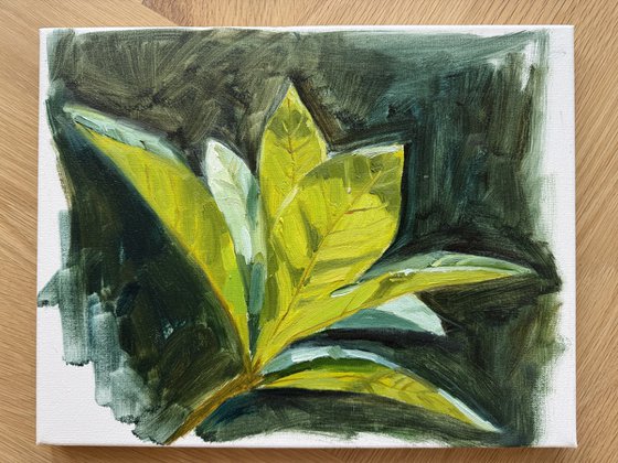 Green leaf