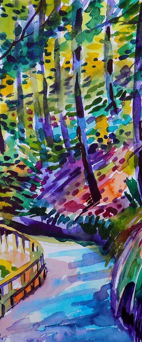 Shady forest path by Maja Grecic