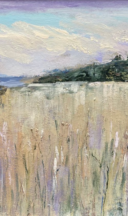 Early Morning Beach Grasses, October by Nikki Wheeler