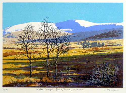 Winter Sunlight, Glen of Imaal by Aidan Flanagan Irish Landscapes